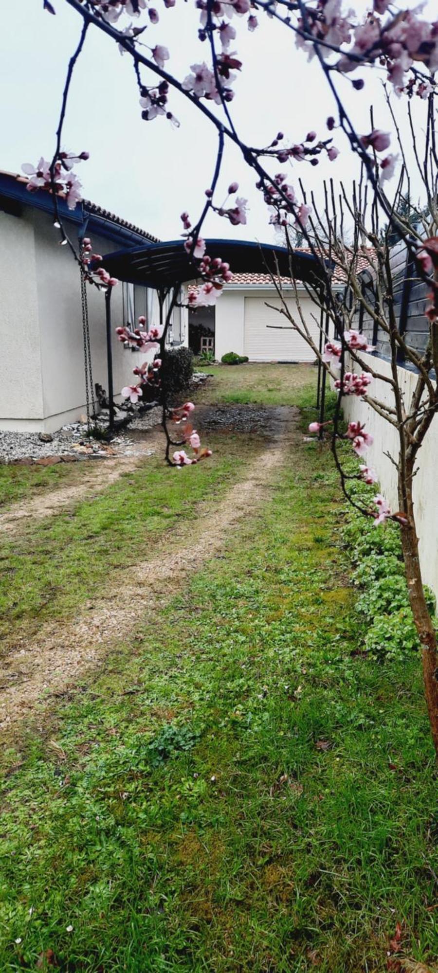 Les Amandiers 비스카로세 외부 사진